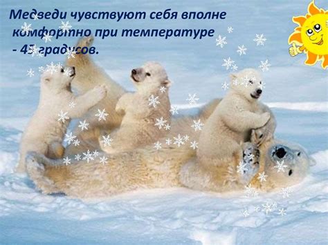 Полярный медведь - презентация онлайн