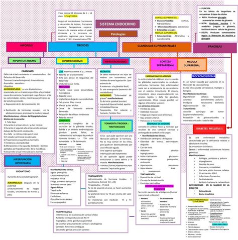 Cortisol Periodic Table Bullet Journal Maps Endocrine System