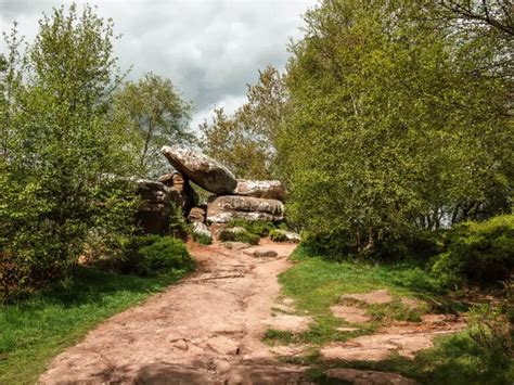 Walk Brimham Rocks and Moor: Ultimate guide - She walks in England