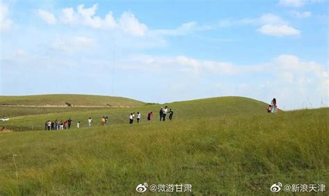 杨胡套子原生态草原位于环县小南沟乡西北部环县套子草原新浪新闻