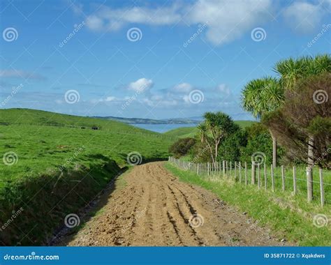 Muddy Road On Motutapu Island Stock Photo Image Of Auckland Island