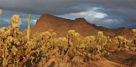 Elevation of Marana, AZ, USA - Topographic Map - Altitude Map