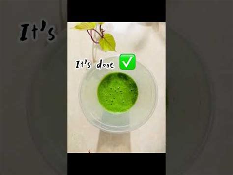 Green Smoothies YouTube