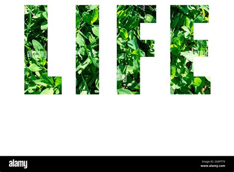 Word Life Hi Res Stock Photography And Images Alamy