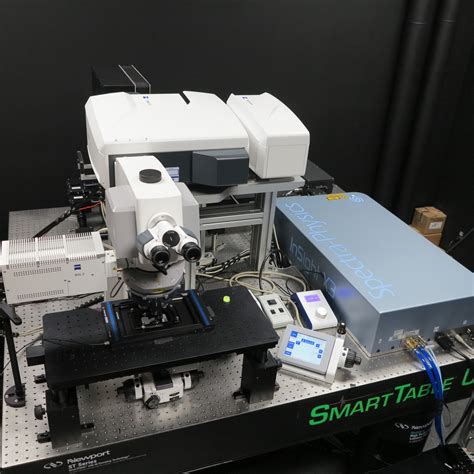 Zeiss Lsm 880 Upright Multiphoton Microscope University Of Kentucky