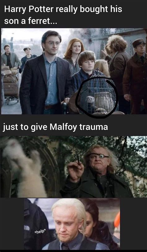 The Best Harry Potter Memes Of The Week April 4 2023 Harry Potter Funny Harry Potter Memes