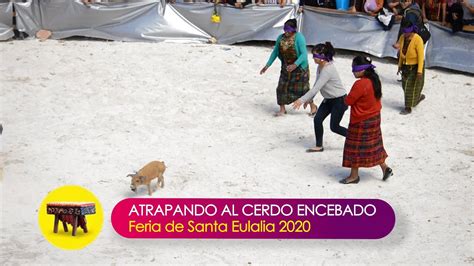 Una Divertida Competencia Del Cerdo Encebado En La Feria De Santa