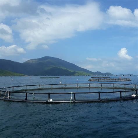 Offshore Aquaculture HDPE Floating Cage Pipe Net Cage Fish Farming