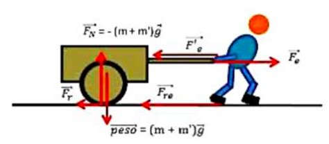 Clase Digital Tercera Ley De Newton Fuerzas De Fricci N Y Ley De