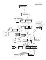 CHEM1C - Thermodynamics Concept Map - Concept Map For Chem 10 of Thermodynamics system ...