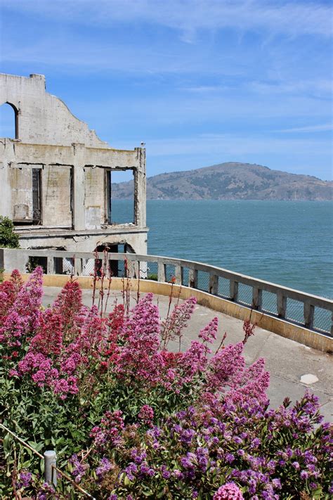 Garden Visit: The Gardens of Alcatraz - Gardenista