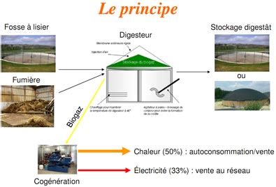 Biogas News M Thanisation Des Effluents Iel S Allie Odipure