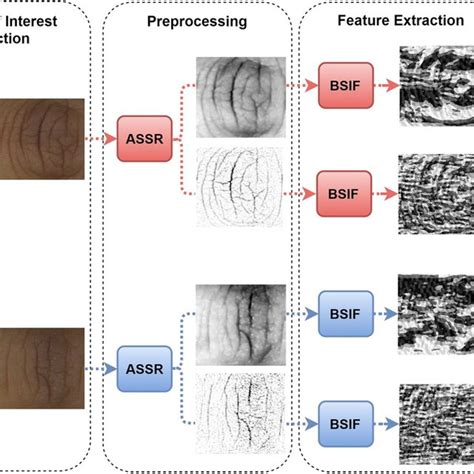 Block Diagram Of The Finger Dorsal Knuckle Based ASSR BSIF