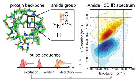 2d Ir Spectroscopy With Femtosecond Amplifier Coherent