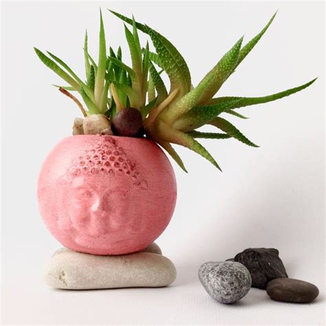 Buddha Head Planter Succulent Cacti Planter Concrete Buddha Head