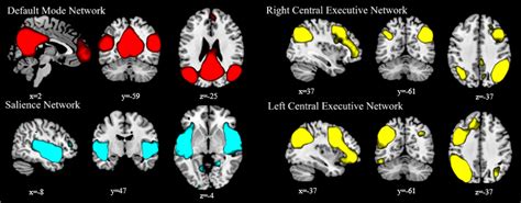 Triple Network Model Based Analysis On Abnormal Core Brain Functional