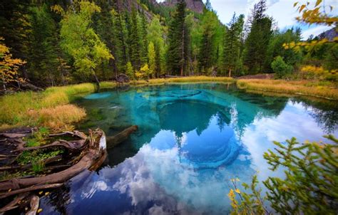 Wallpaper Forest Mountains Lake Reflection Shore Driftwood Images