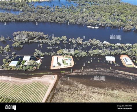 Victoria Mildura Murray River Flood In 2022 Stock Photo Alamy