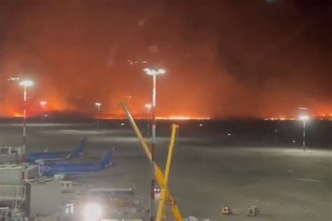 Palermo Circondata Dagli Incendi Riaperto L Aeroporto