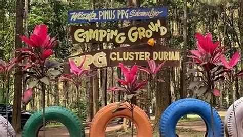 5 Tempat Camping di Jember, Ada Spot Melihat Sunrise Pertama 2024