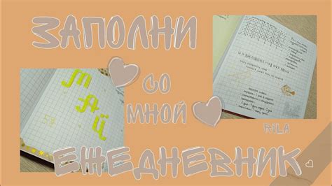 💛Молчаливое заполнение ежедневника~ЗАПОЛНИ ЕЖЕДНЕВНИК СО МНОЙ~ Удобно ...