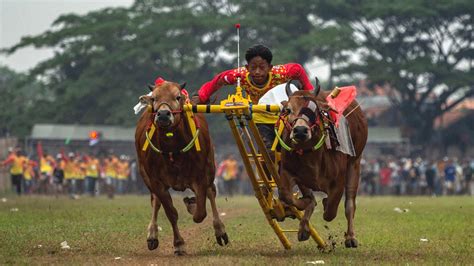 Contoh Adat Istiadat Di Indonesia Pahami Pengertian Dan Fungsinya