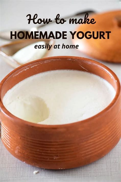 How To Make Curd Or Dahi Or Yogurt With This Yogurt Recipe You Can