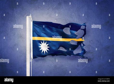 Ondeando La Bandera De Nauru Fotograf As E Im Genes De Alta Resoluci N