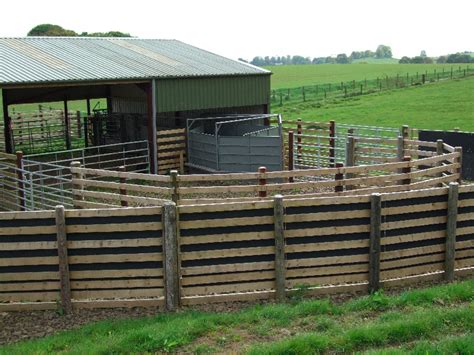 Pearson Full Cattle Handling Systems 1