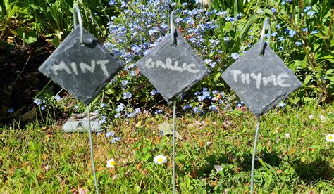 Slate Hanging Plant Labels Tags Plant Markers Garden T Greenhouse