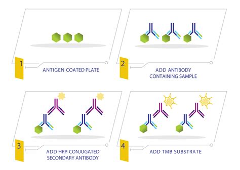 Indirect ELISA Kits RayBiotech