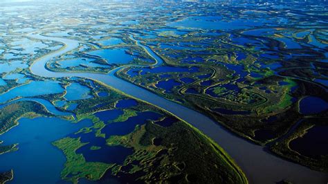 Река Маккензи (64 фото)