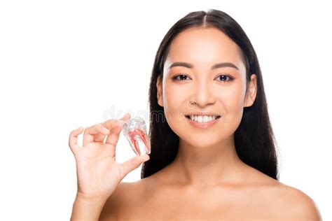 Naked Asian Woman Holding Tooth Model Isolated On White Stock Photo Image Of Healthy Hygiene