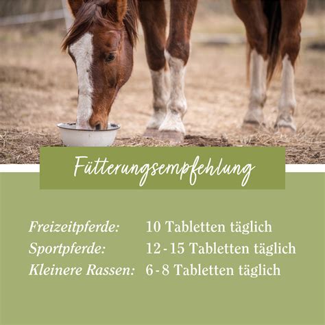 Tierlieb Zink Tabletten F R Pferde Jetzt Online Kaufen Sanct Bernhard