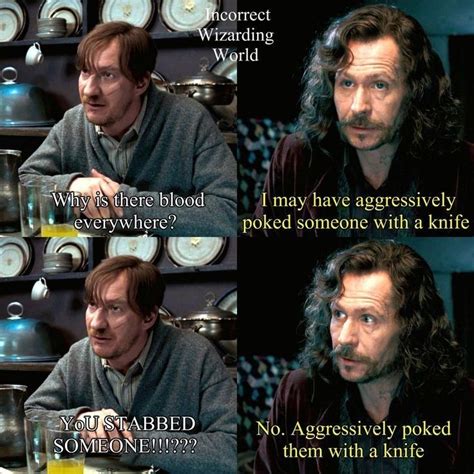 Pin By Maureen Kohn On Harry Potter Harry Potter Funny Harry Potter