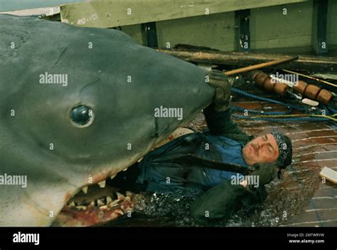 1975 usa director steven spielberg hi-res stock photography and images ...