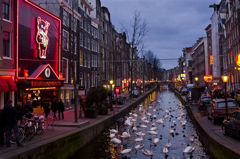 Amsterdam Night Photo Tour — Aperture Tours