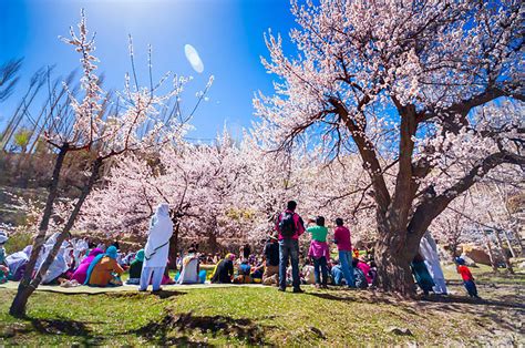 Hunza Skardu Spring Tour Archives Hunza Guides Pakistan