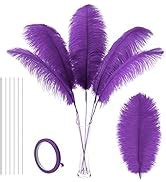 Amazon Soarer Black Large Ostrich Feathers Pcs Making Kit