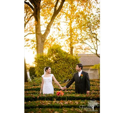 Fall Wedding Photos Special Day, Special Events, Special Occasion, Fall ...