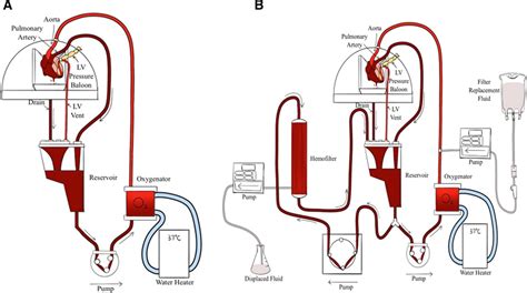 Prolonged 24 Hour Normothermic Ex Vivo Heart Perfusion Fac ASAIO