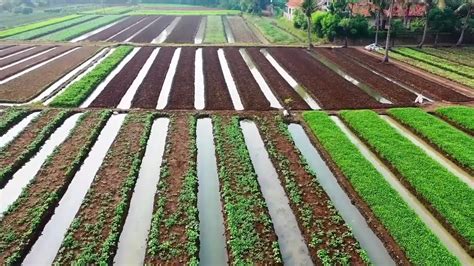 How To Build A Contour Bund Trench In Hilly Areas For Rainwater