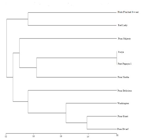 Dendrogram Showing Clustering Of Ten Papaya Genotypes Constructed By