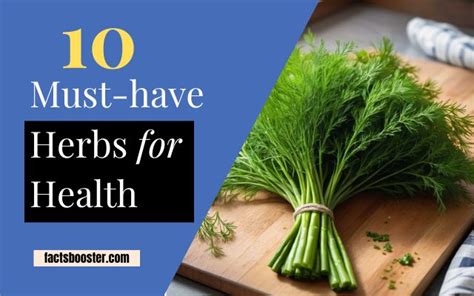 10 Must-have Herbs for Health - Healthful Choices, Happy Lives