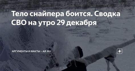 Тело снайпера боится. Сводка СВО на утро 29 декабря | Аргументы и факты ...