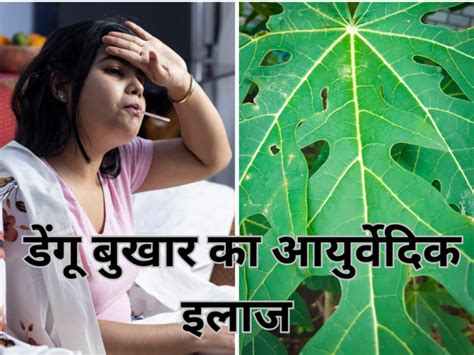 7 Best And Effective Ayurvedic Home Remedies For Dengue And Malaria Fever In Hindi