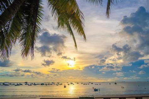 Premium Photo Summer Background With Coconut Trees And Sunset Warm