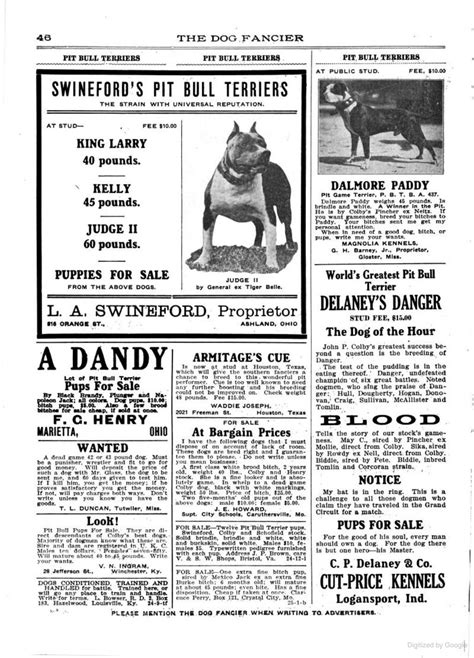 1916 Dog Fancier Magazine Pit Bull Terriers Section Rbanpitbulls