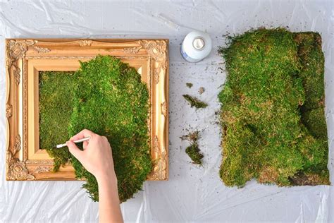 How To Make Diy Moss Art To Bring In Lush Greenery