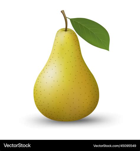 Realistic Isolated Pear Royalty Free Vector Image